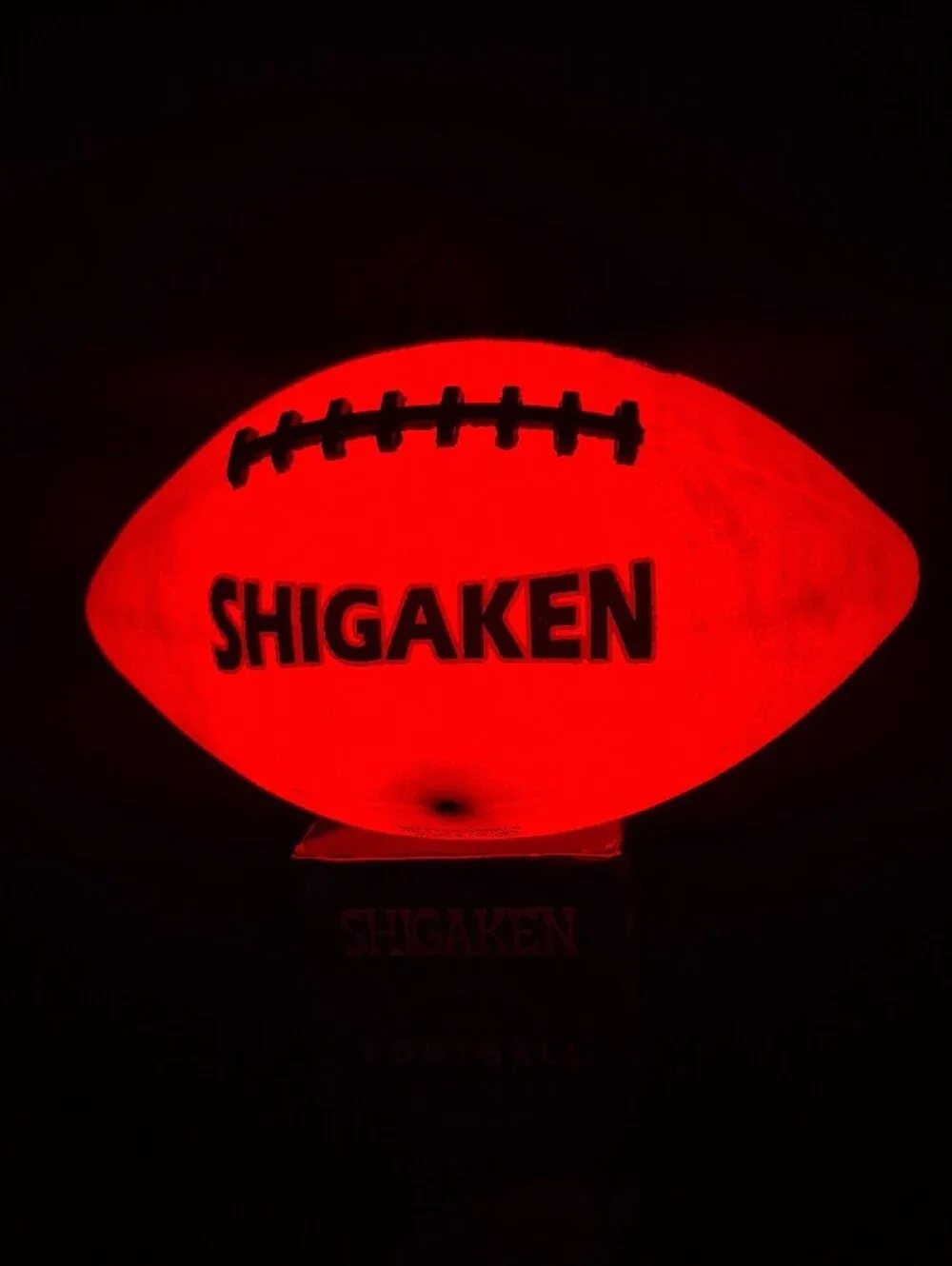 Brand New SHIGAKEN Glow-in-the-Dark Light-Up LED Football